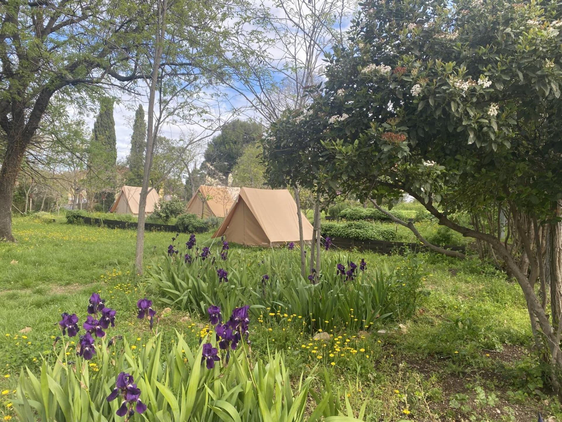 Auberge De Jeunesse Hi Marseille Bois-Luzy Buitenkant foto